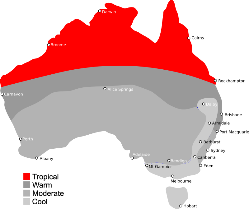 Seeds to sow in July Tropical Climates The Seed Collection